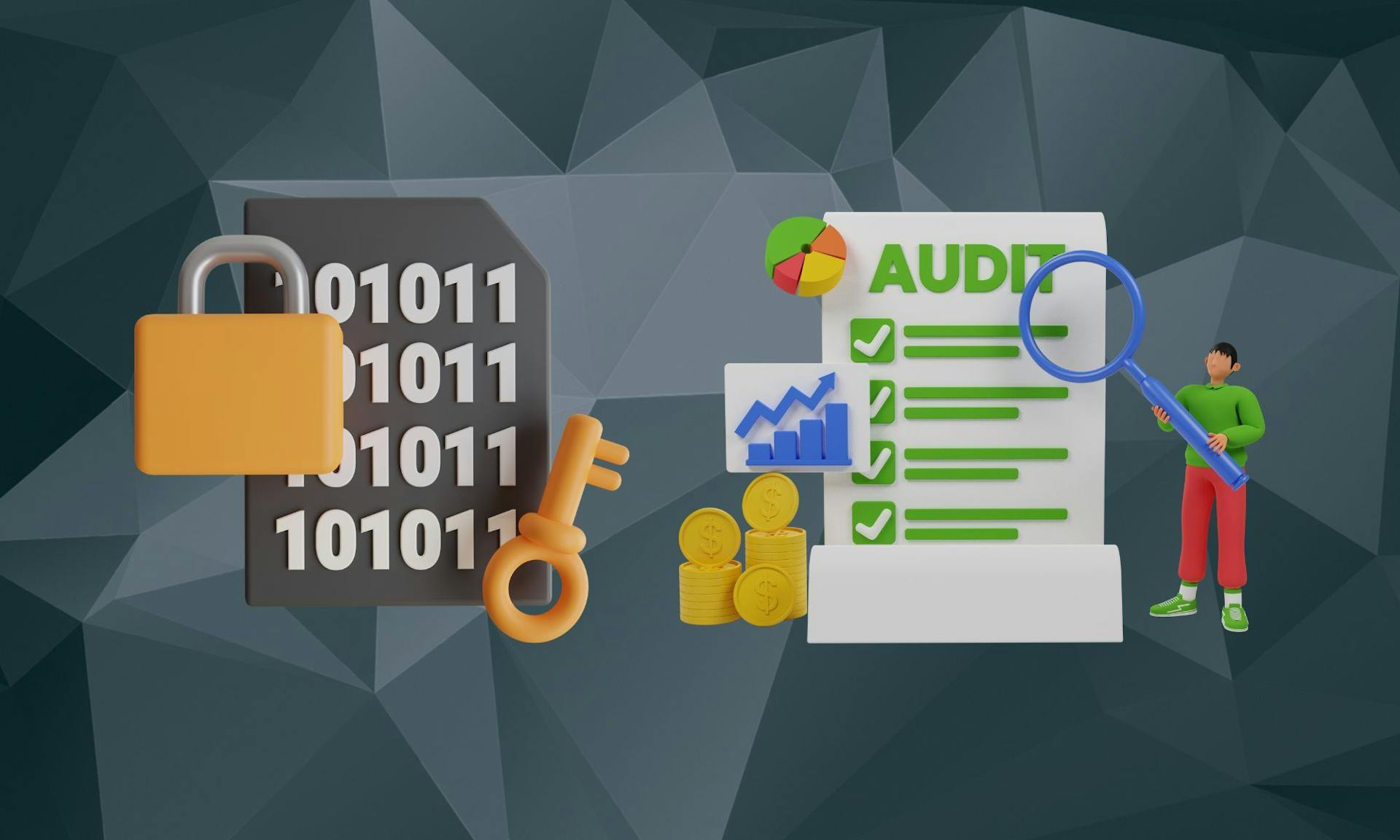 privacy audits